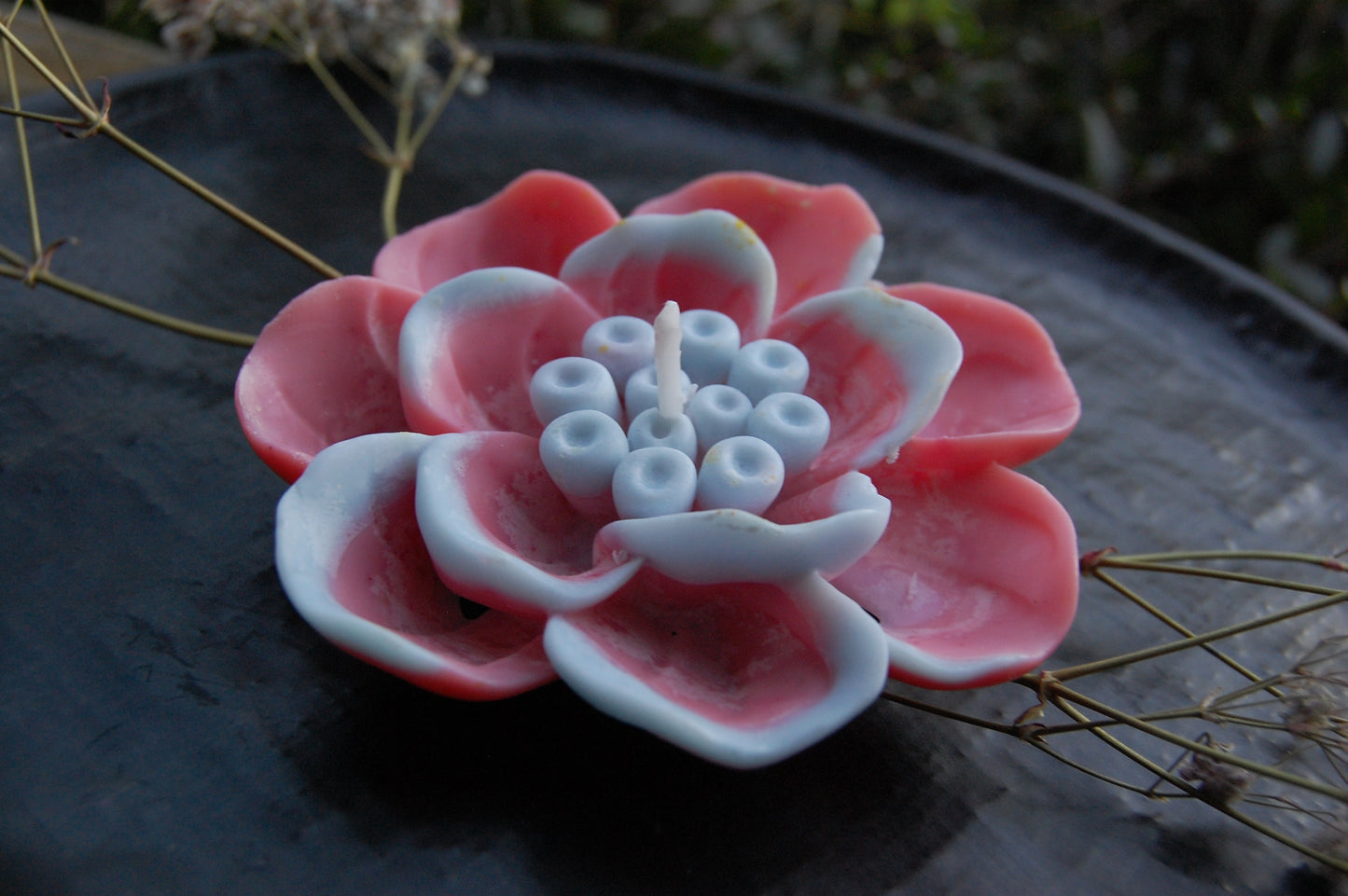 Otherworldly Flower