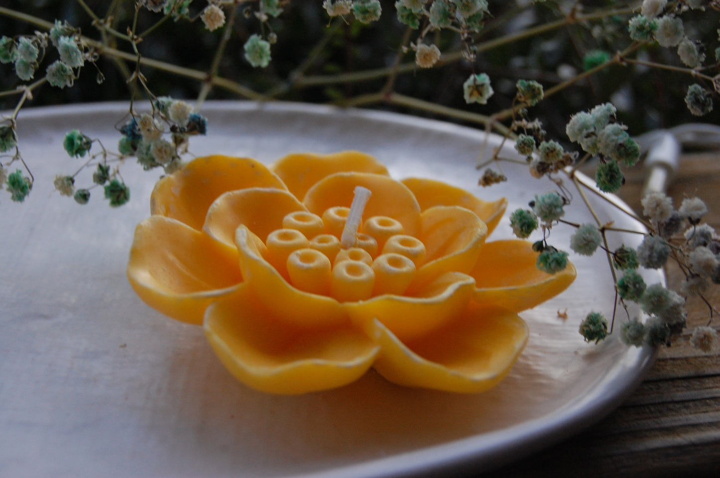 Otherworldly Flower