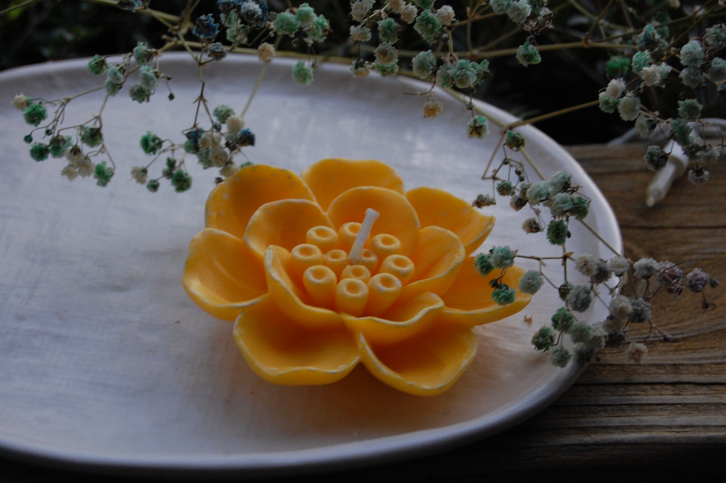 Otherworldly Flower