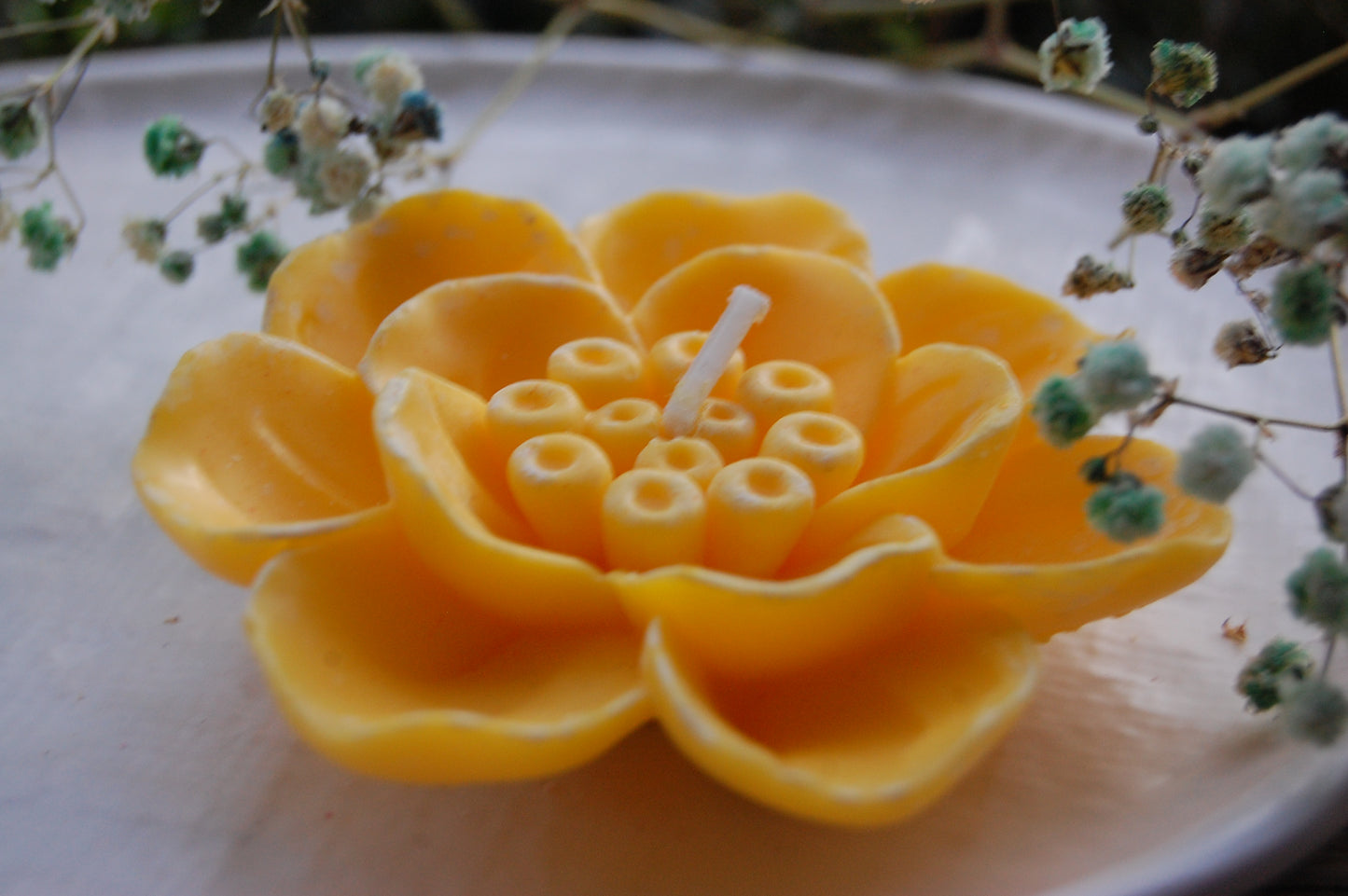 Otherworldly Flower