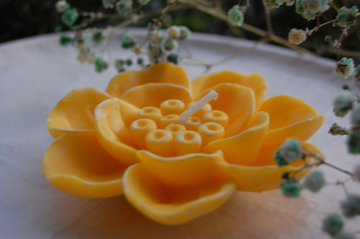 Otherworldly Flower