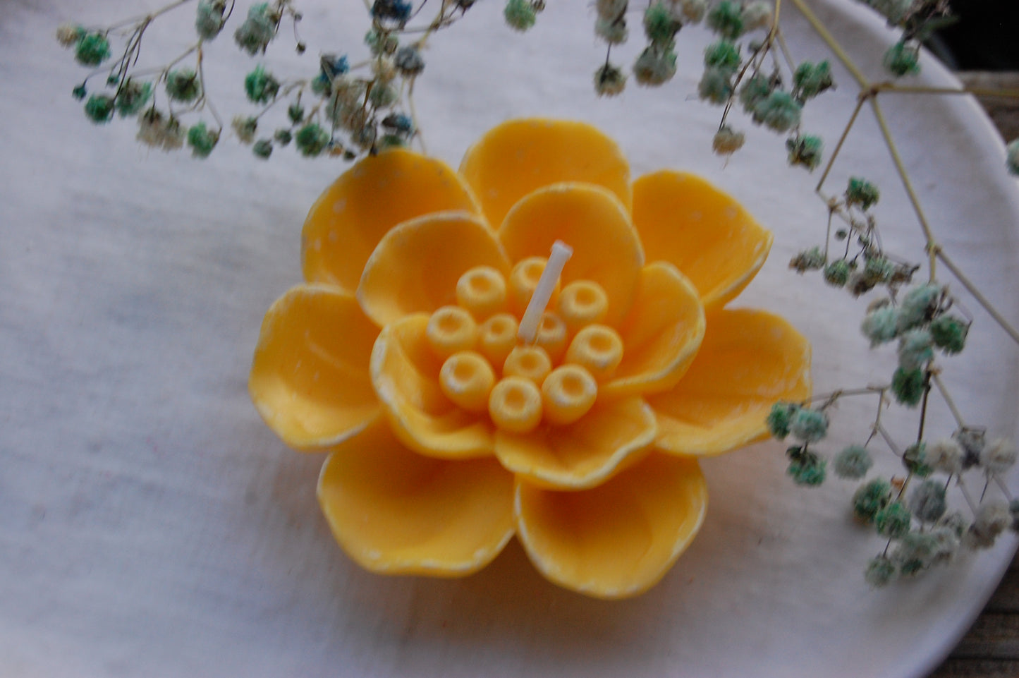 Otherworldly Flower