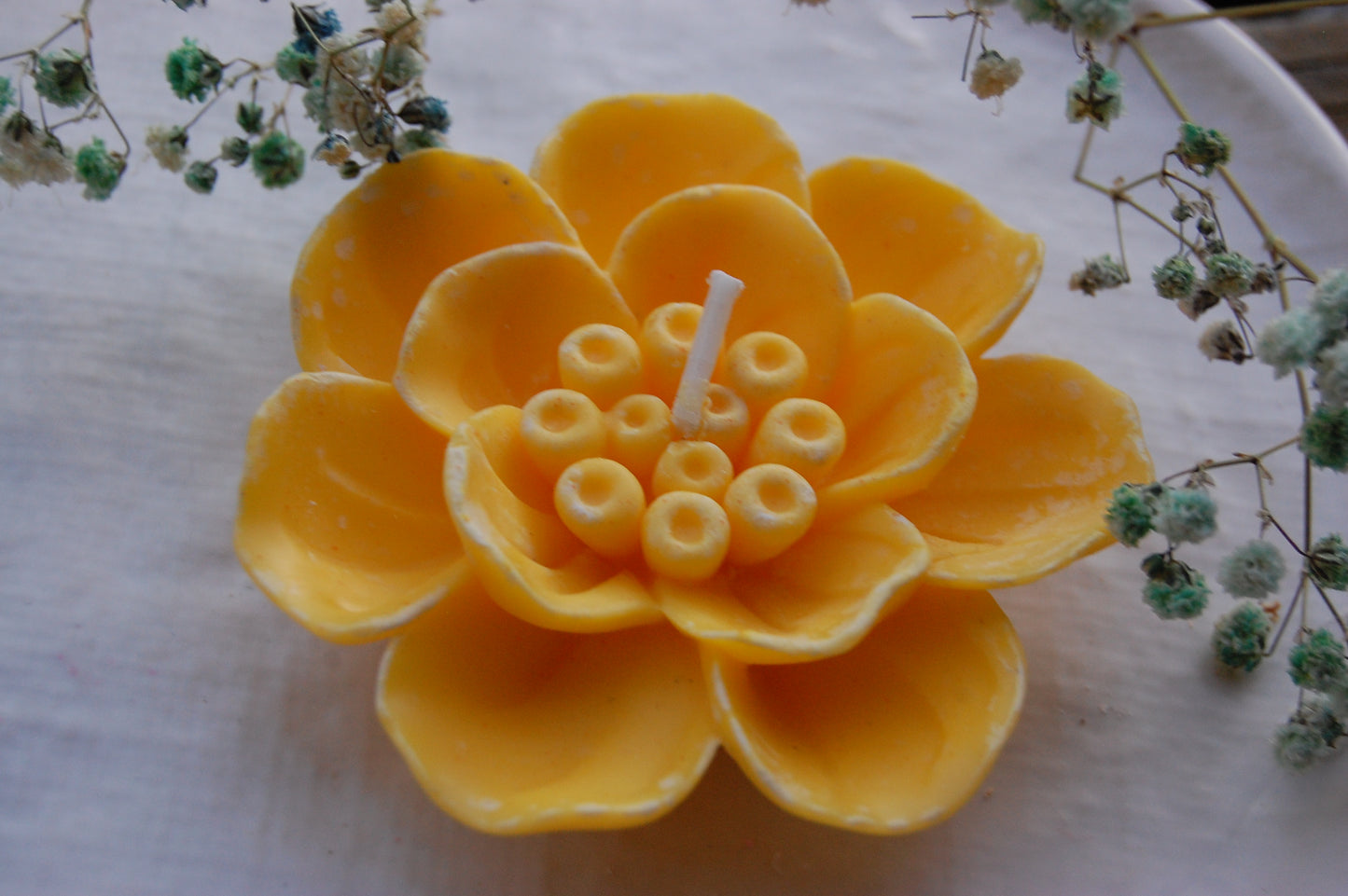 Otherworldly Flower