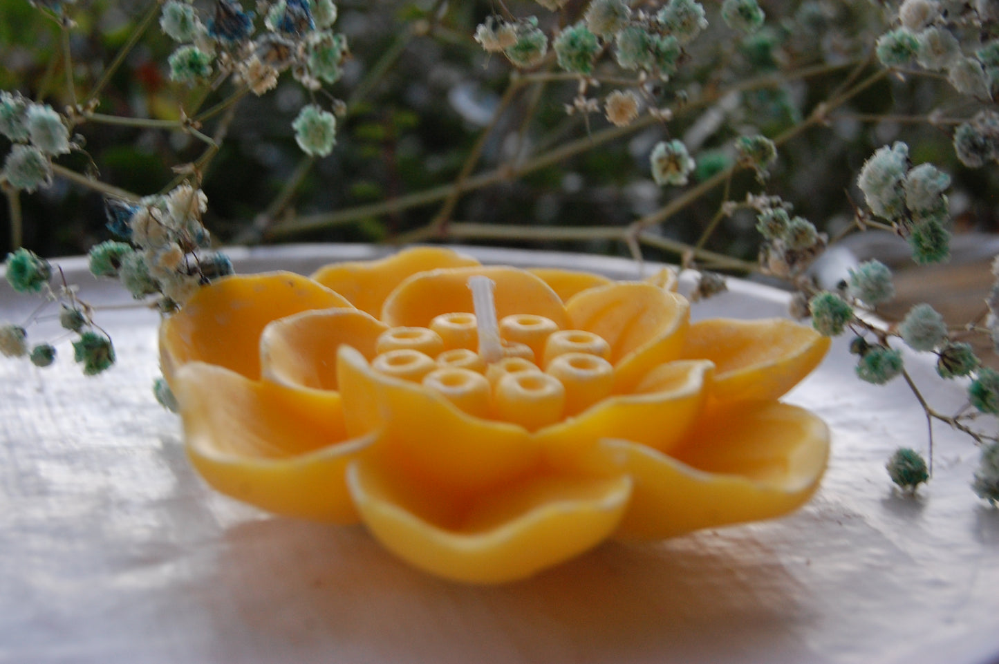 Otherworldly Flower