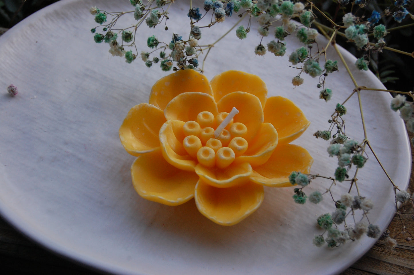 Otherworldly Flower