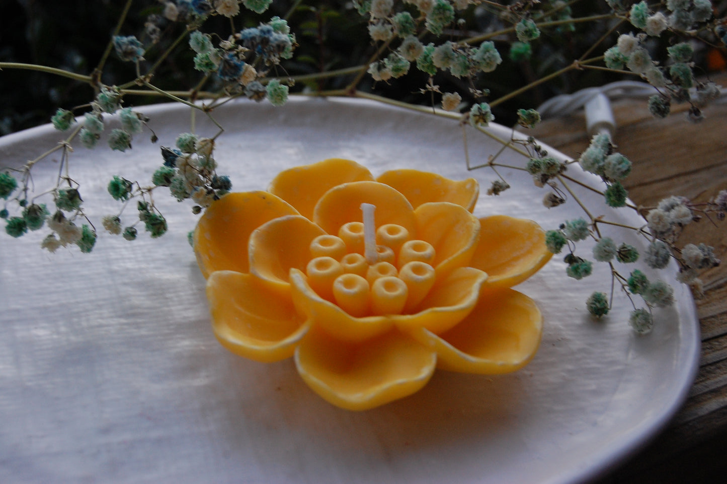 Otherworldly Flower