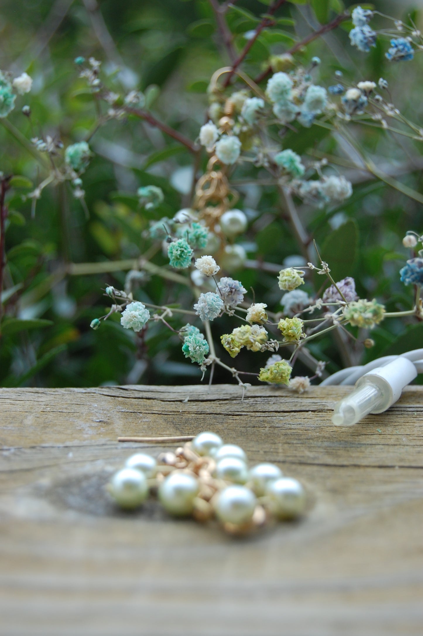 Grapes of Memories