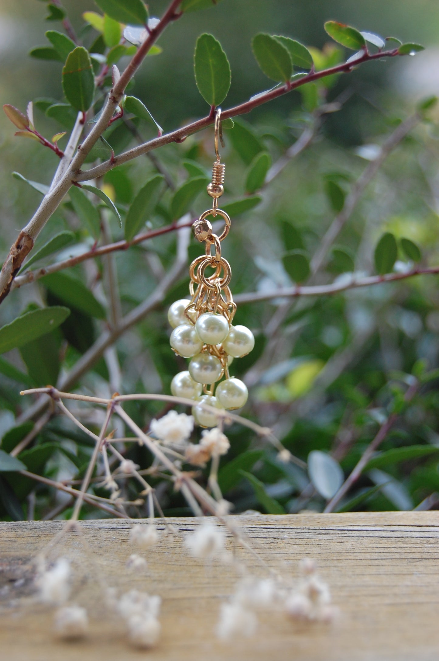 Grapes of Memories