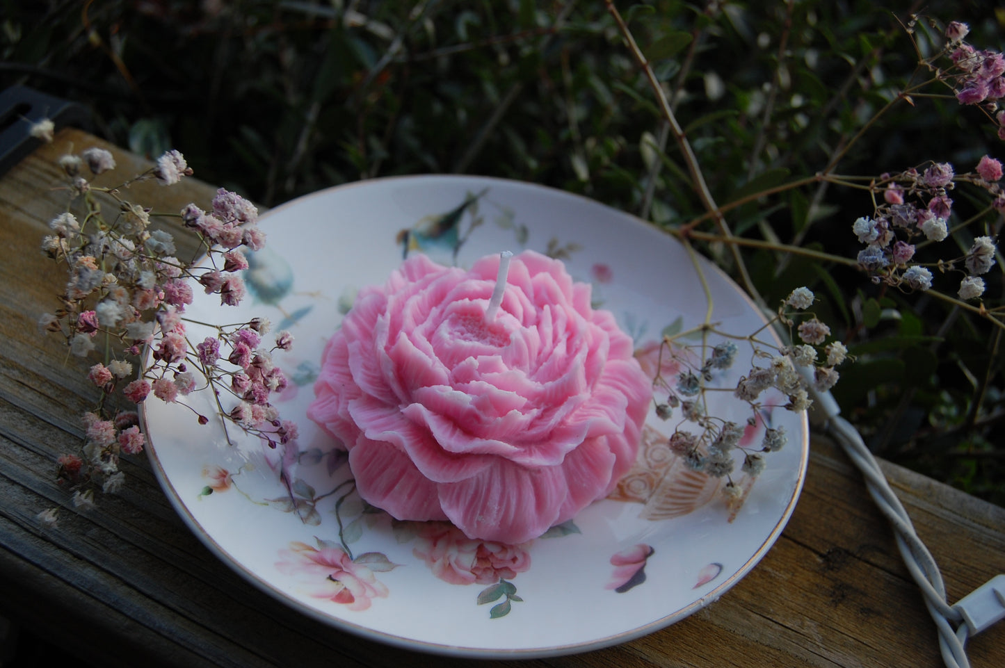 Peony of Fortune