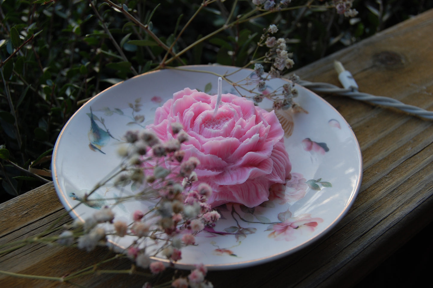 Peony of Fortune