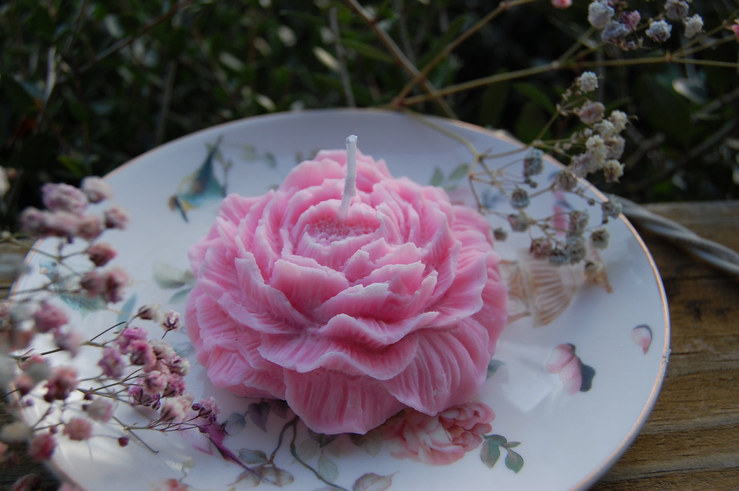 Peony of Fortune