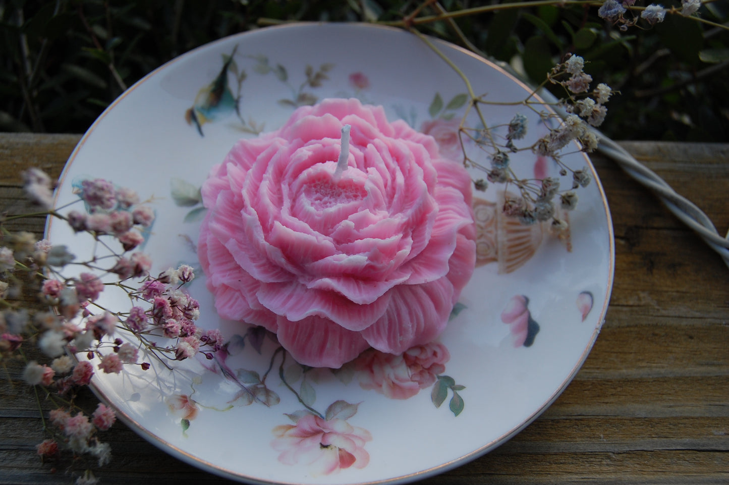 Peony of Fortune