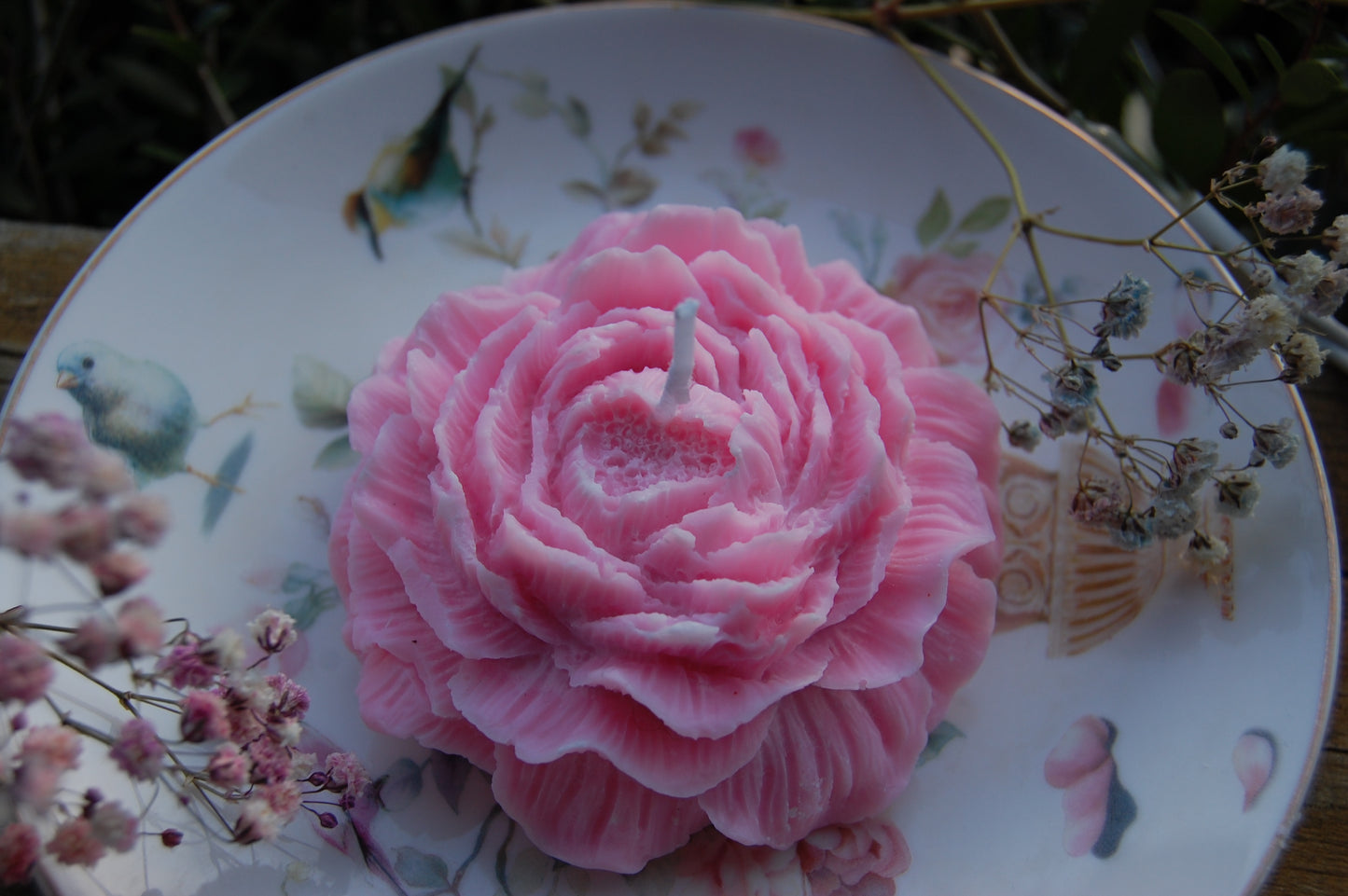 Peony of Fortune