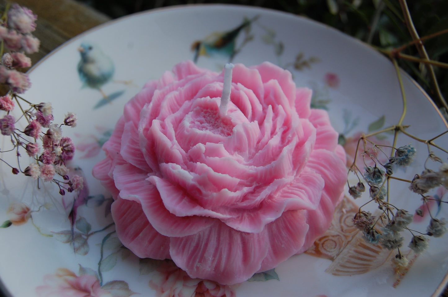 Peony of Fortune