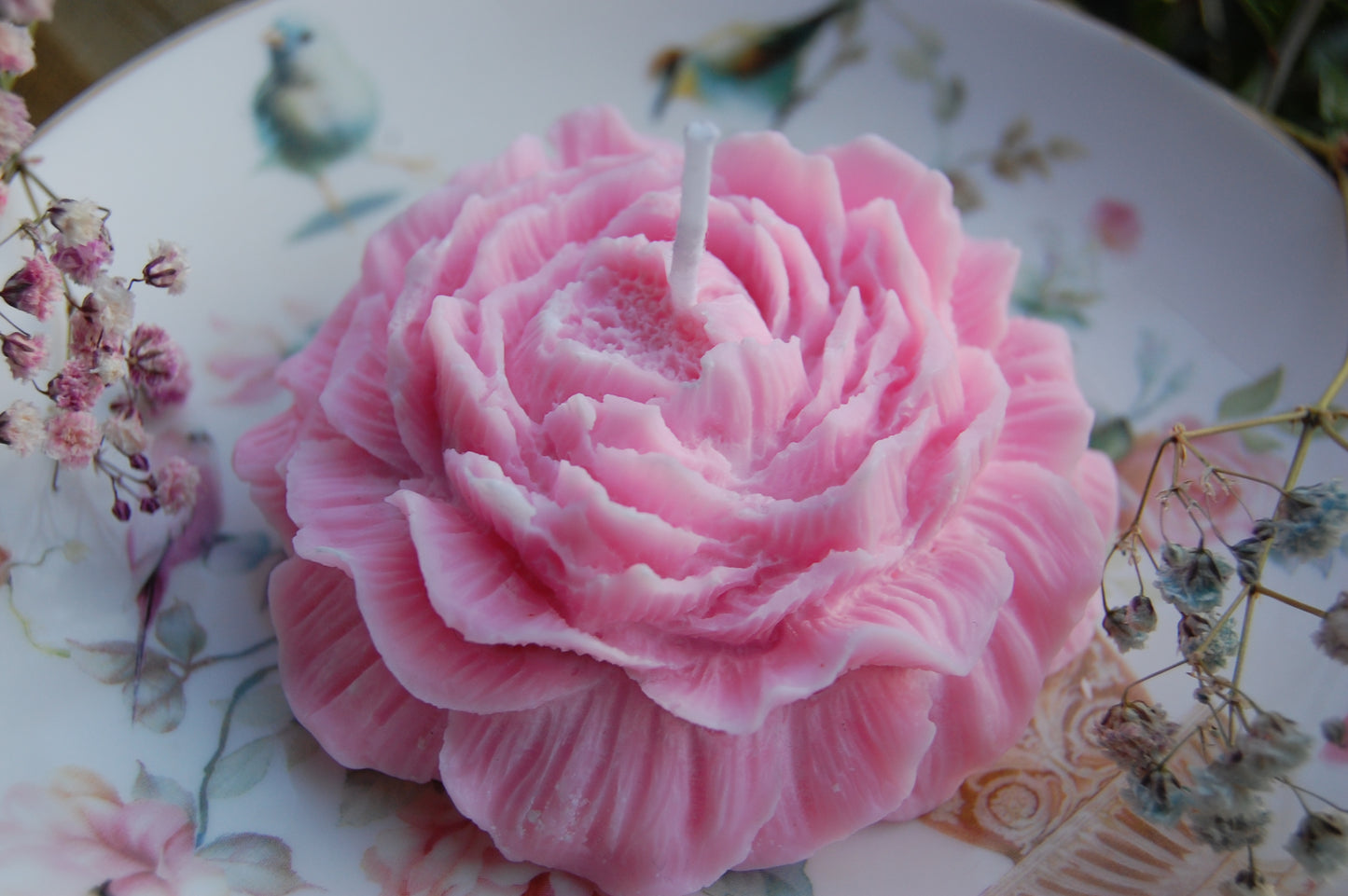 Peony of Fortune