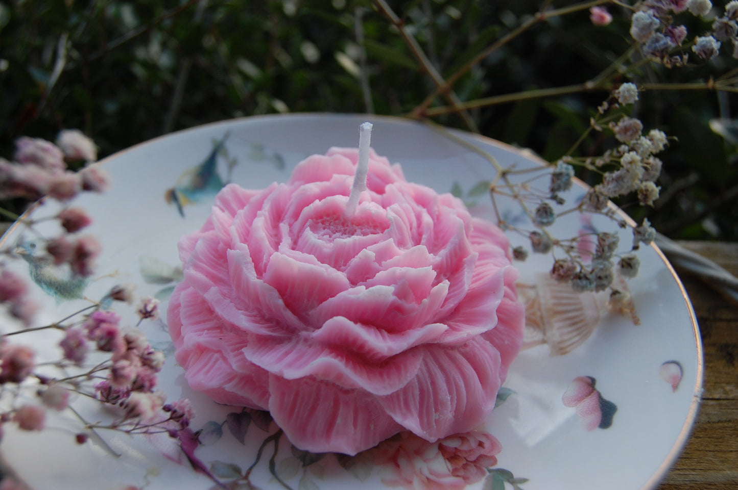 Peony of Fortune