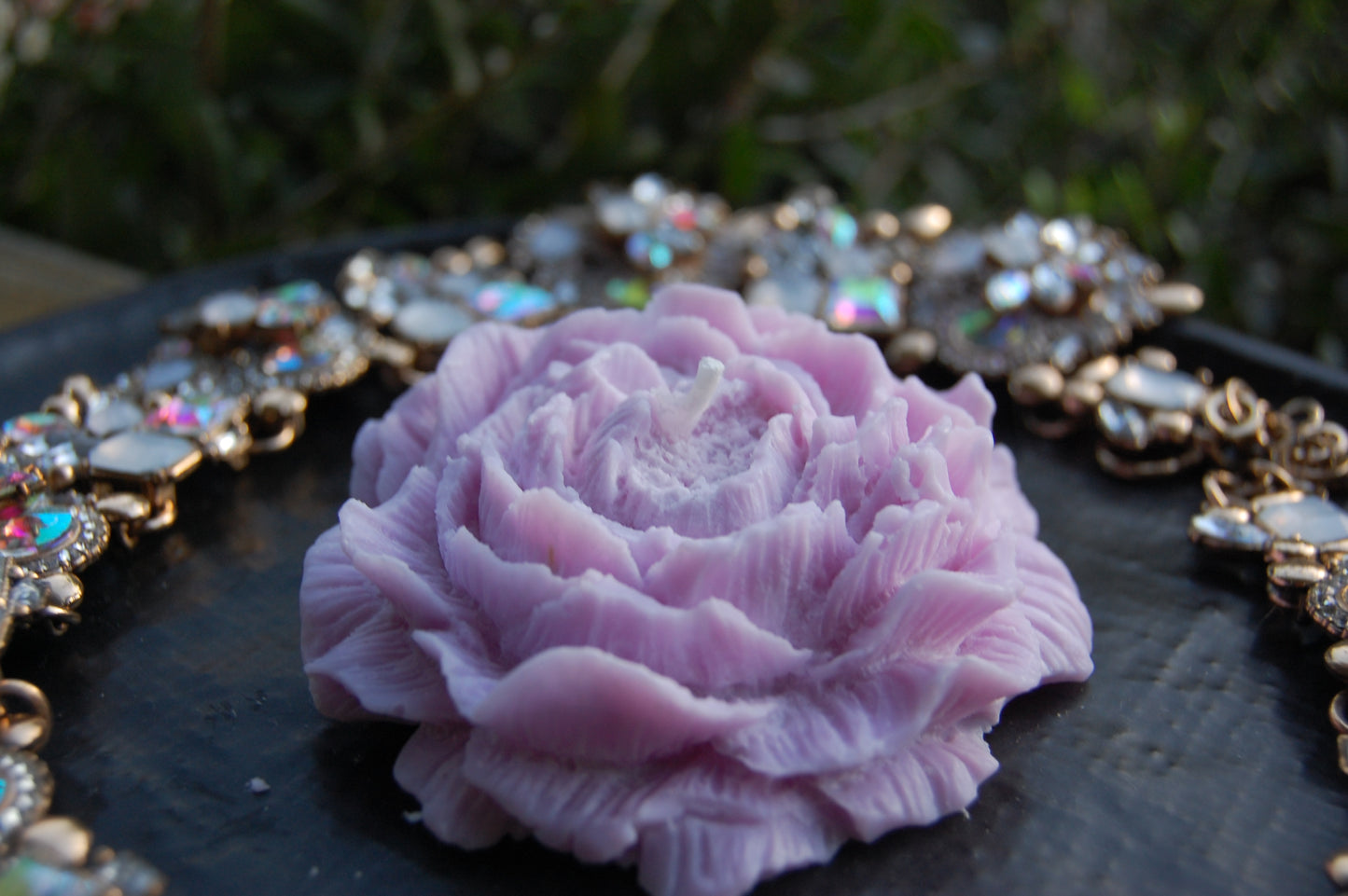 Peony of Fortune