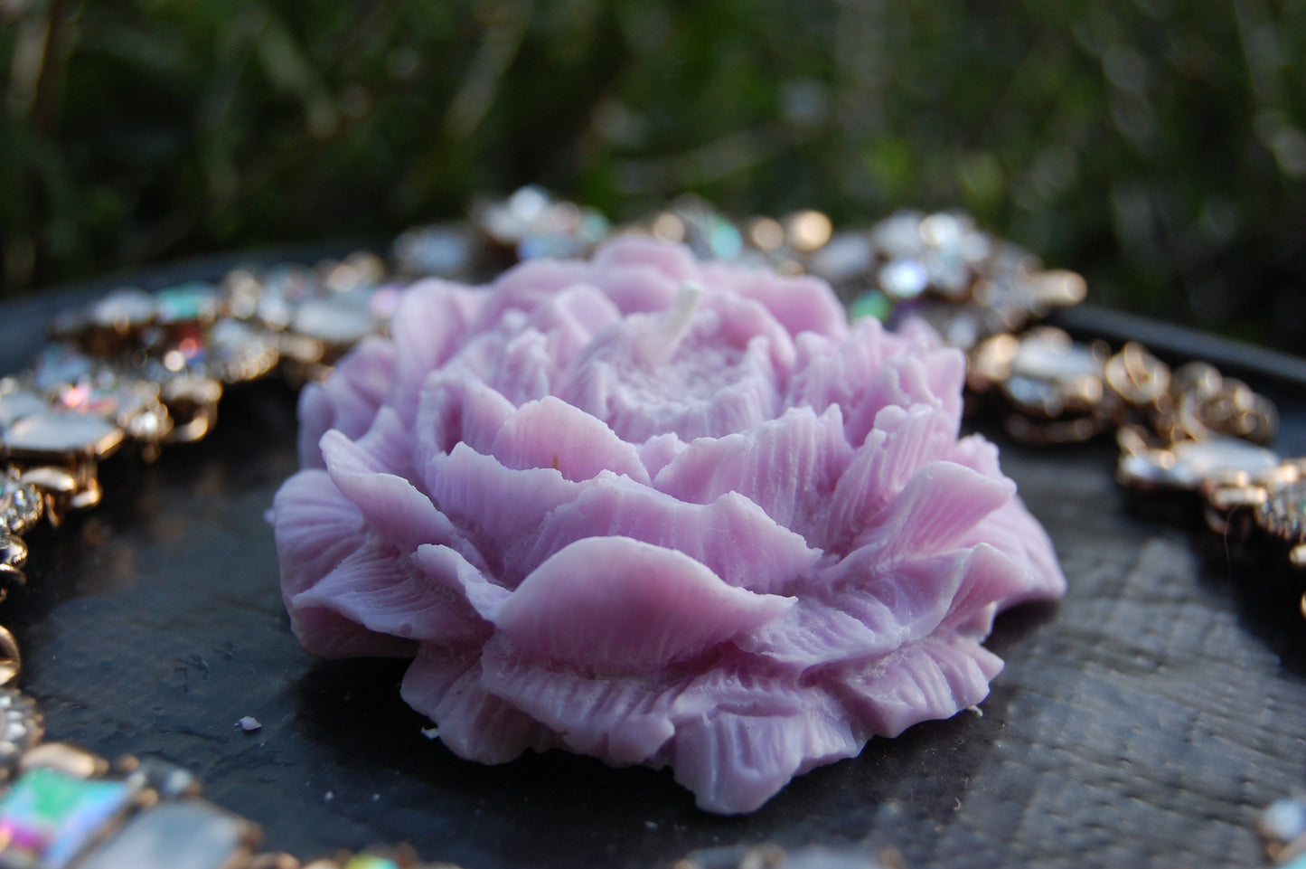Peony of Fortune