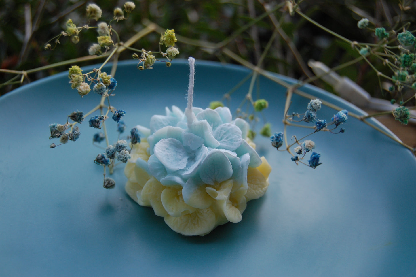 Hydrangea for Your Thoughts?