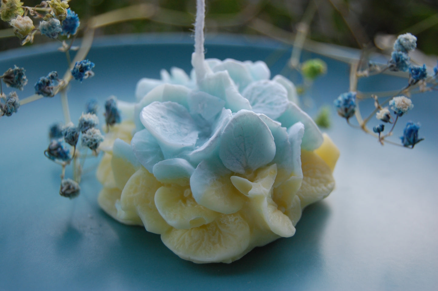 Hydrangea for Your Thoughts?