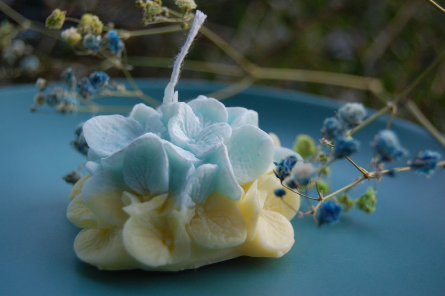 Hydrangea for Your Thoughts?