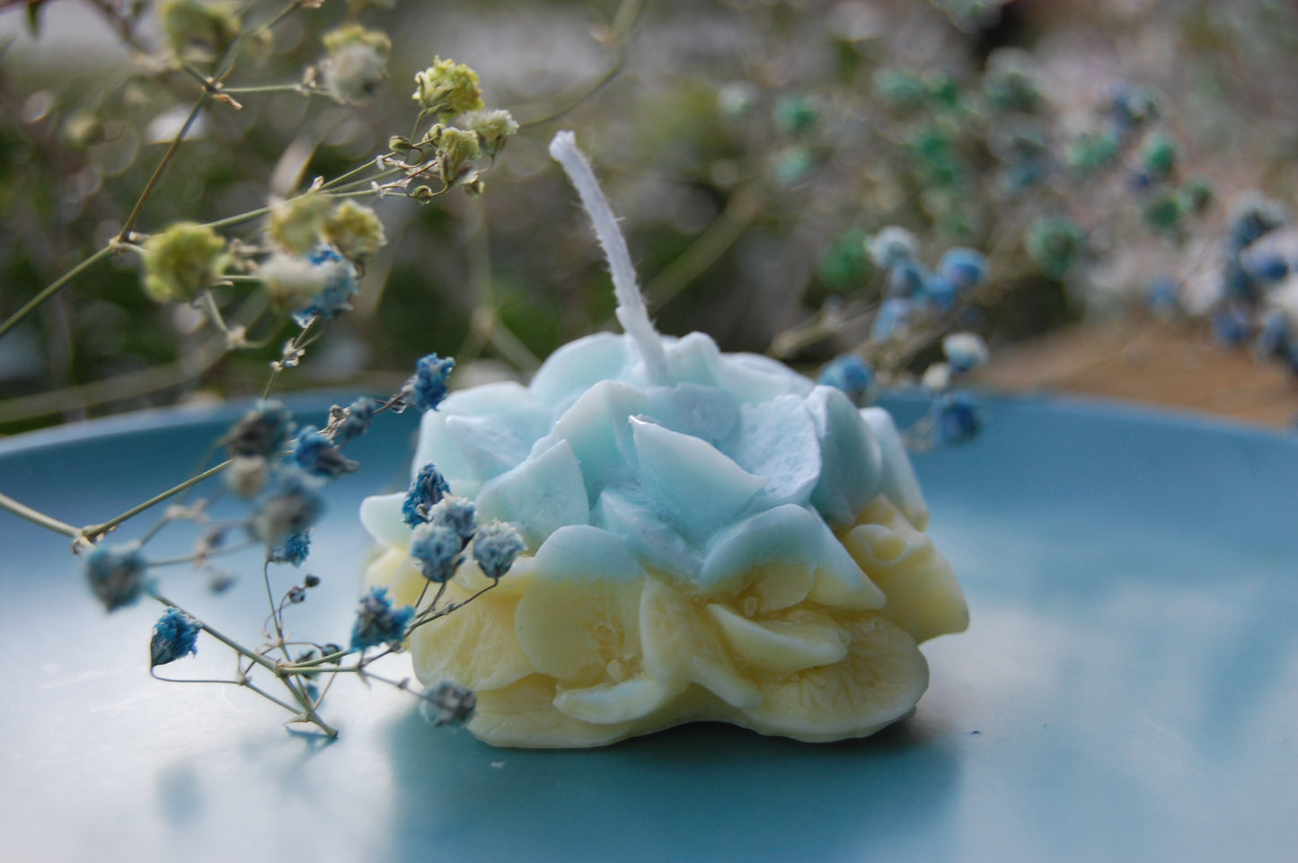 Hydrangea for Your Thoughts?