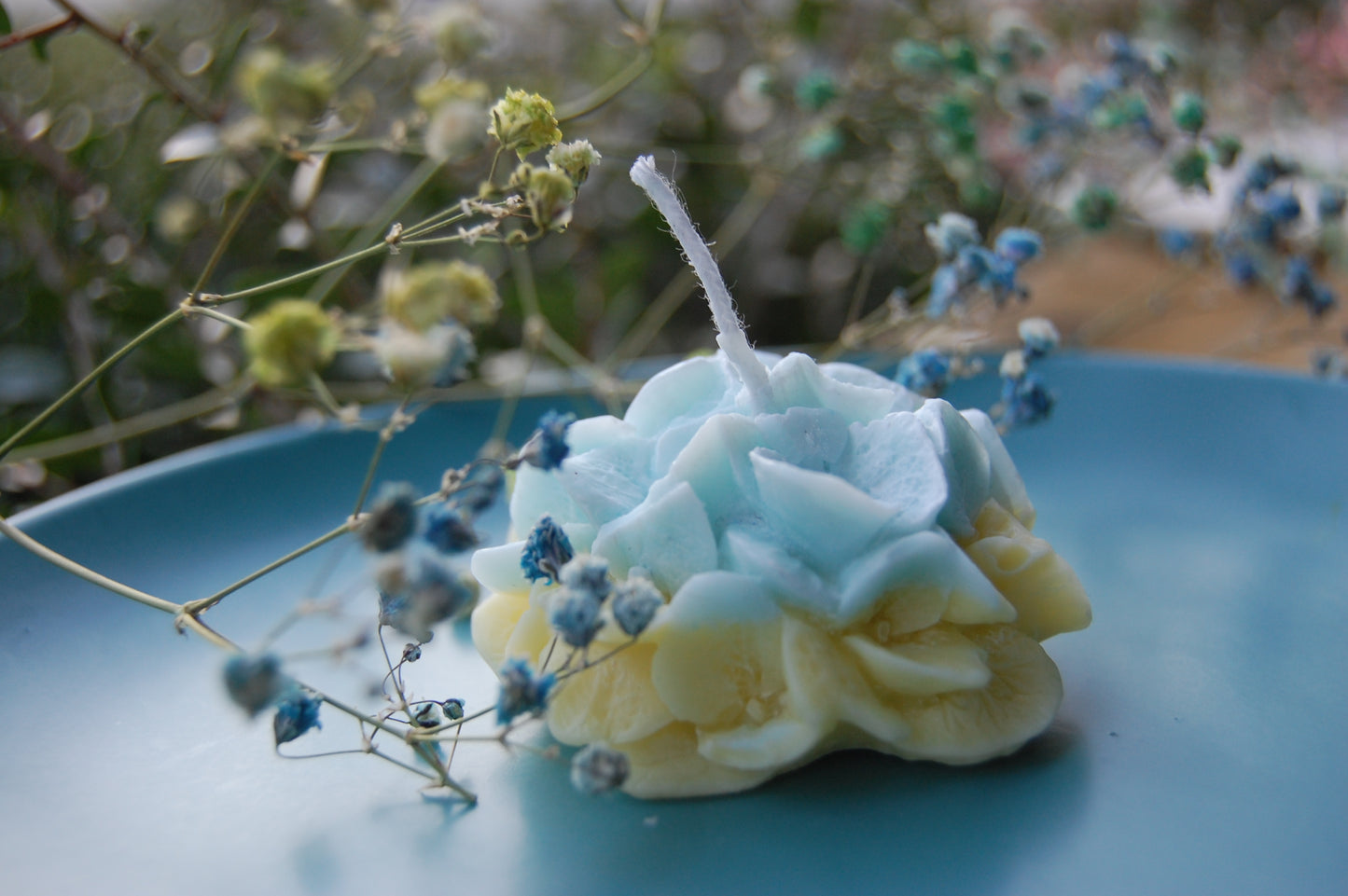 Hydrangea for Your Thoughts?