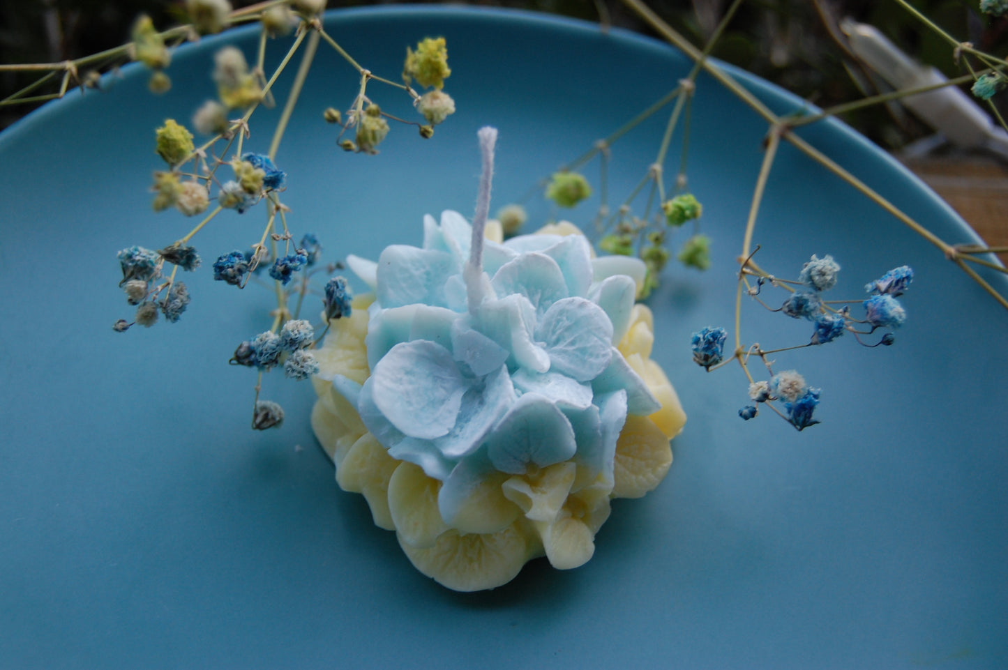Hydrangea for Your Thoughts?