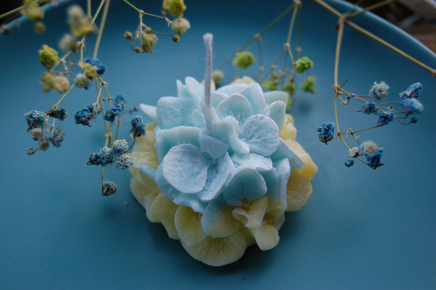 Hydrangea for Your Thoughts?