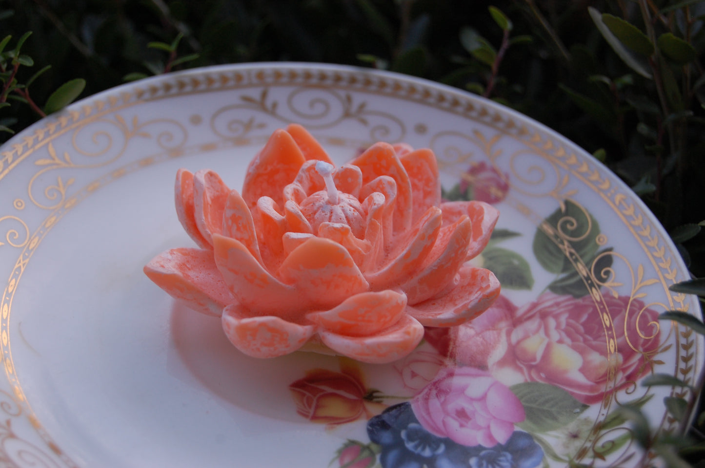 Lotus for you