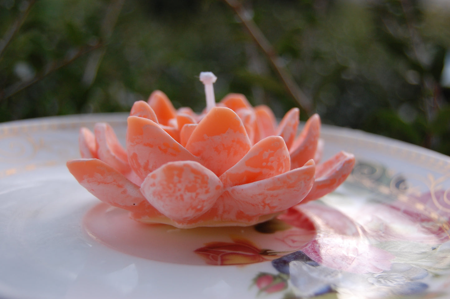 Lotus for you