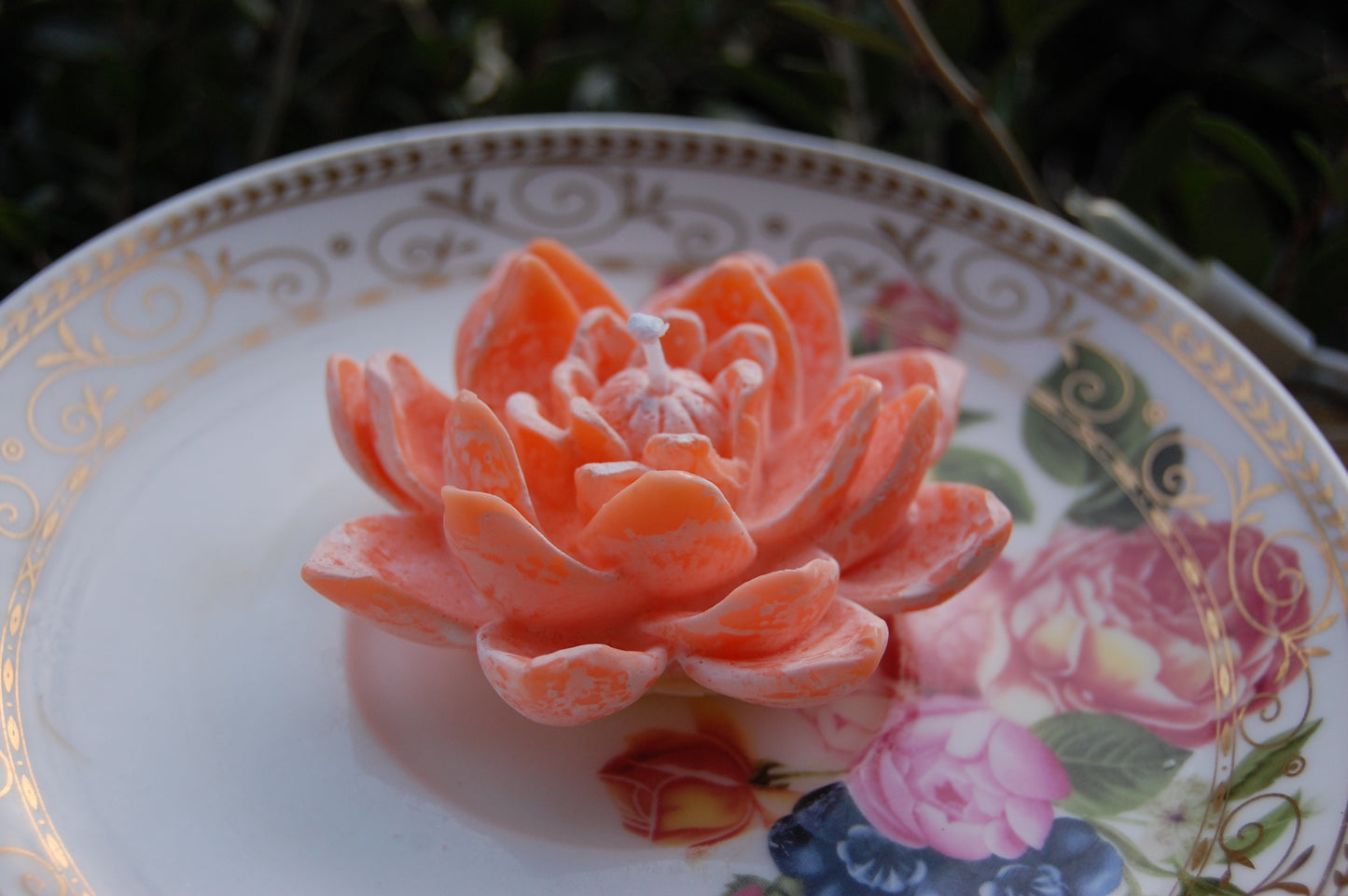 Lotus for you