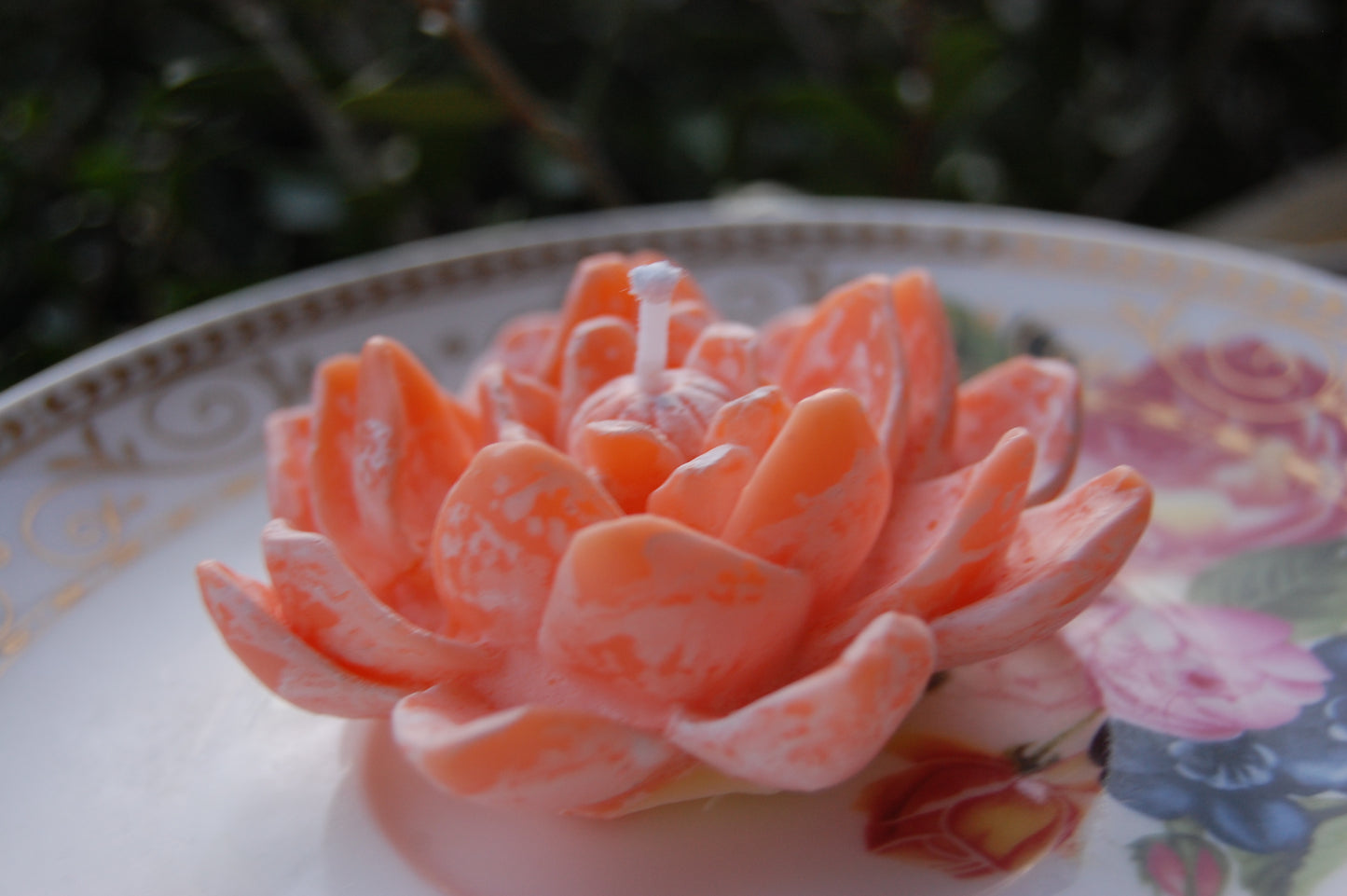 Lotus for you