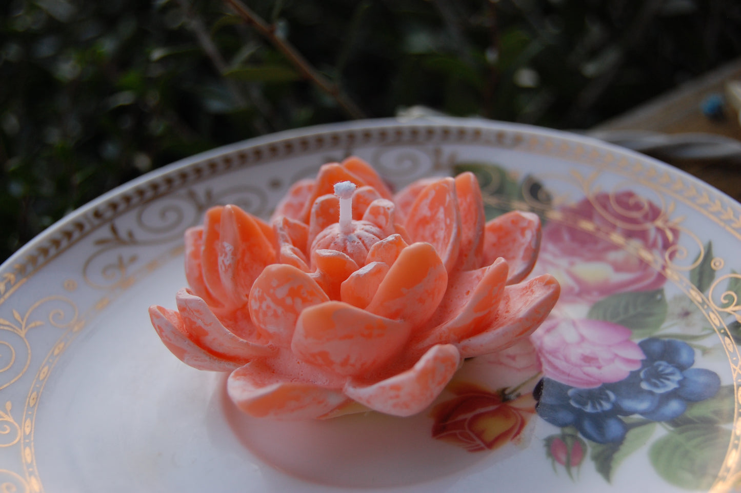 Lotus for you