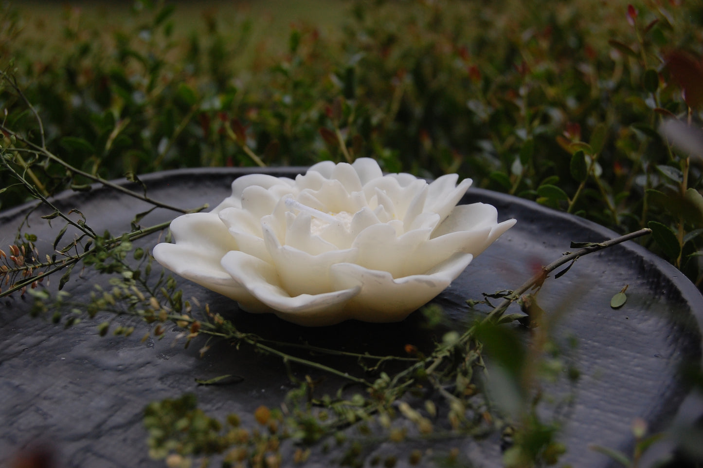 Flared Flower