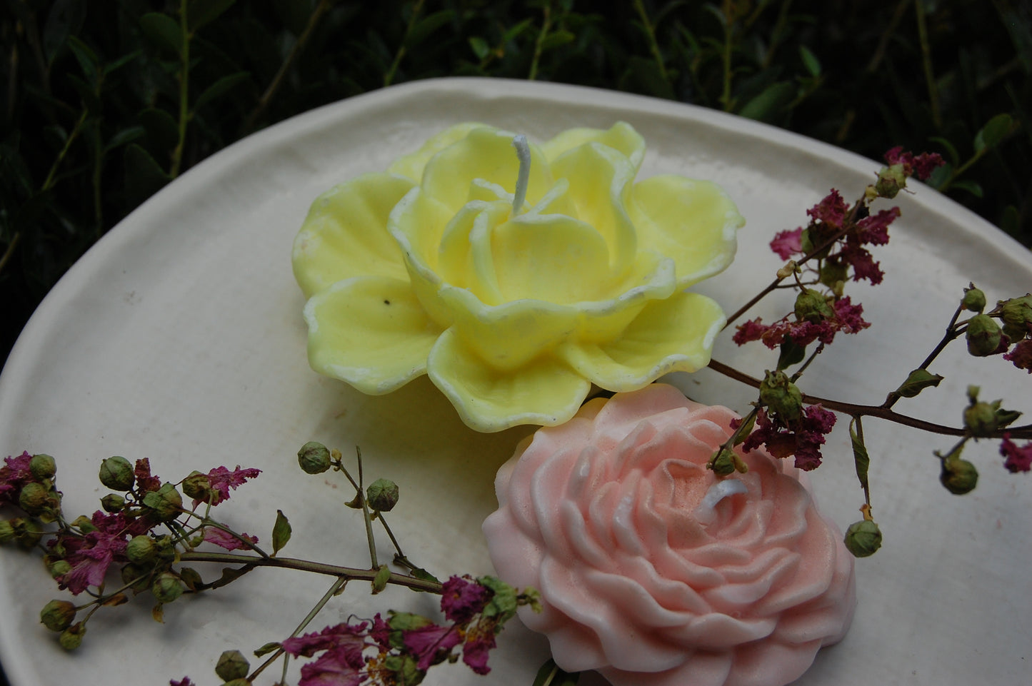 Roses Galore