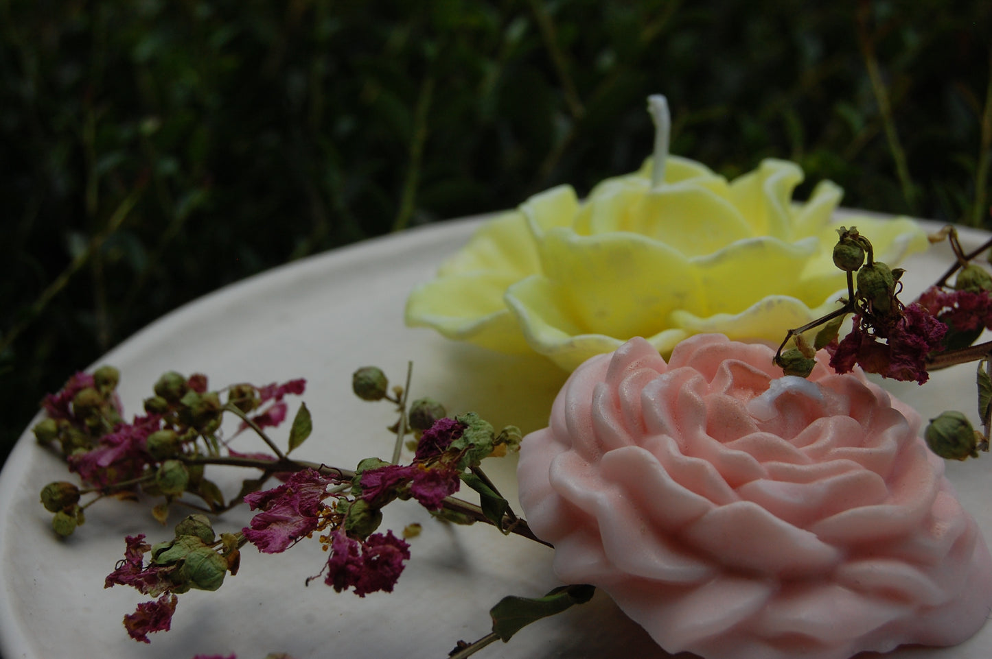 Roses Galore