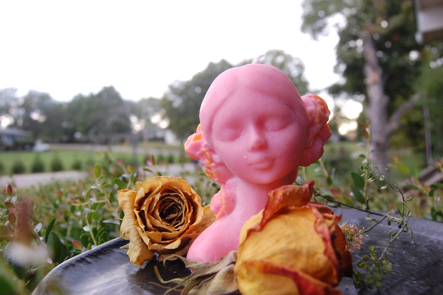 Girl with Rose Hair