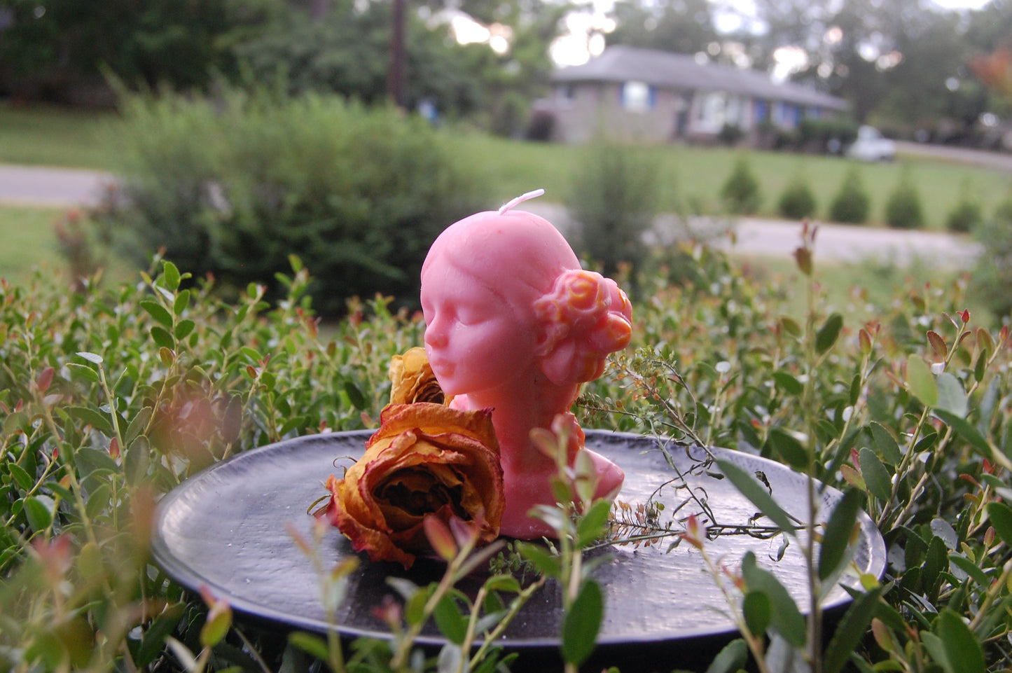 Girl with Rose Hair