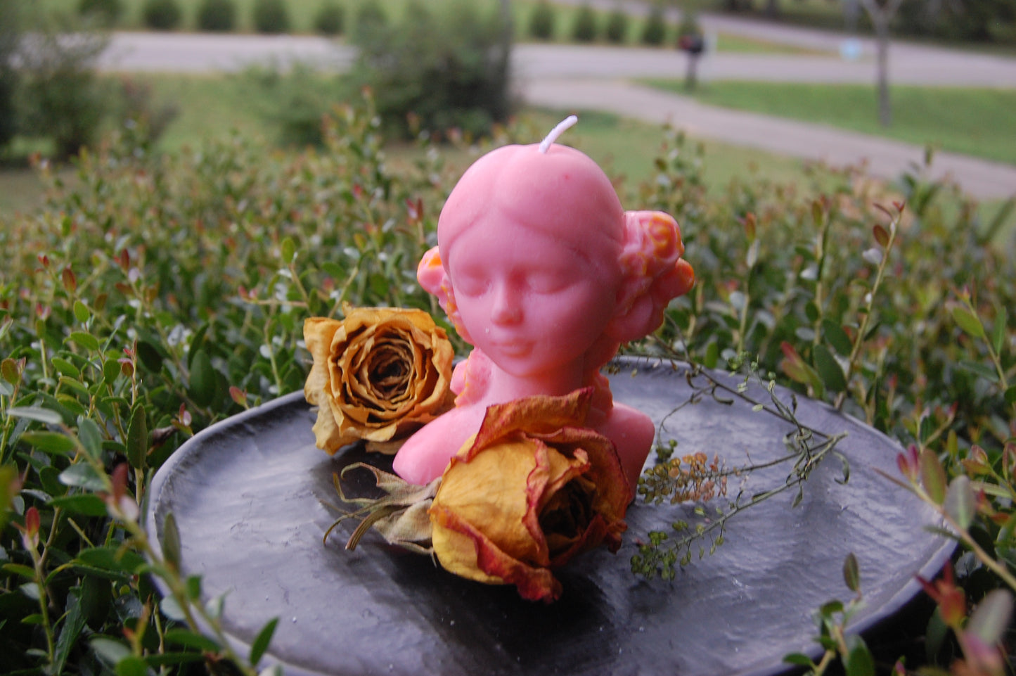 Girl with Rose Hair