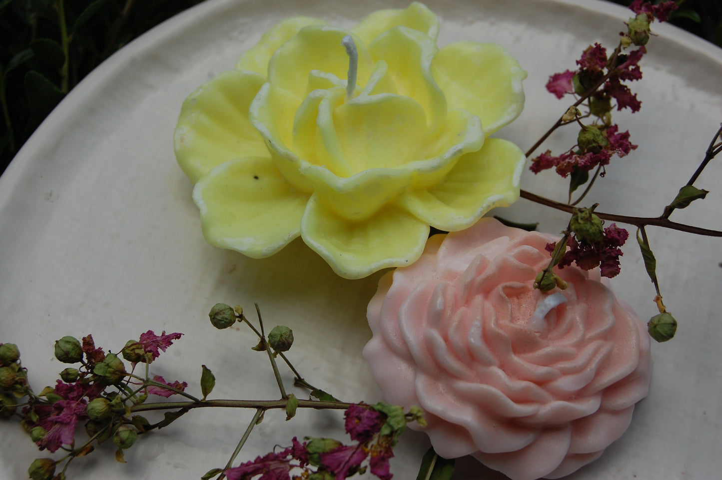 Roses Galore