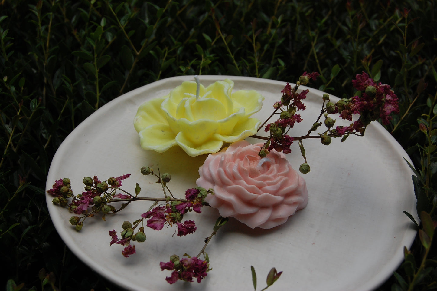 Roses Galore