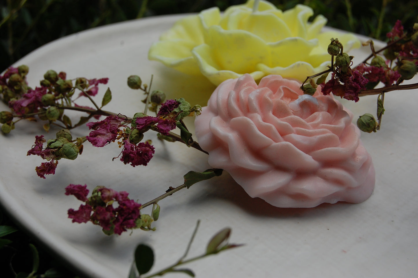 Roses Galore