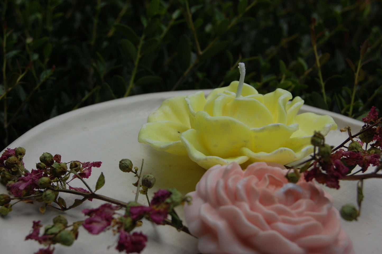 Roses Galore