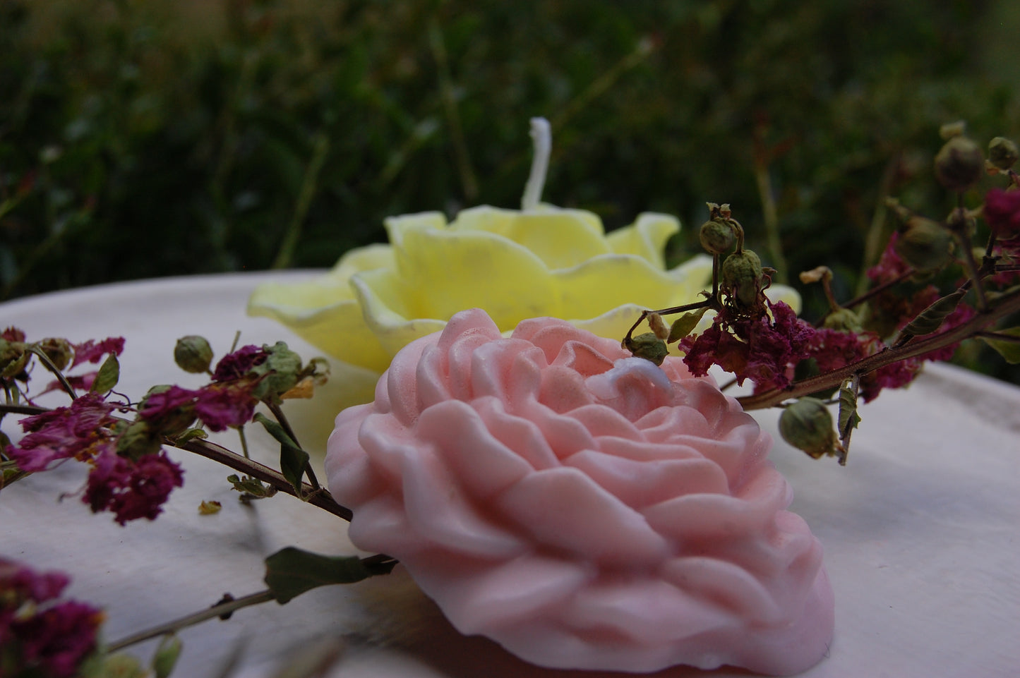 Roses Galore