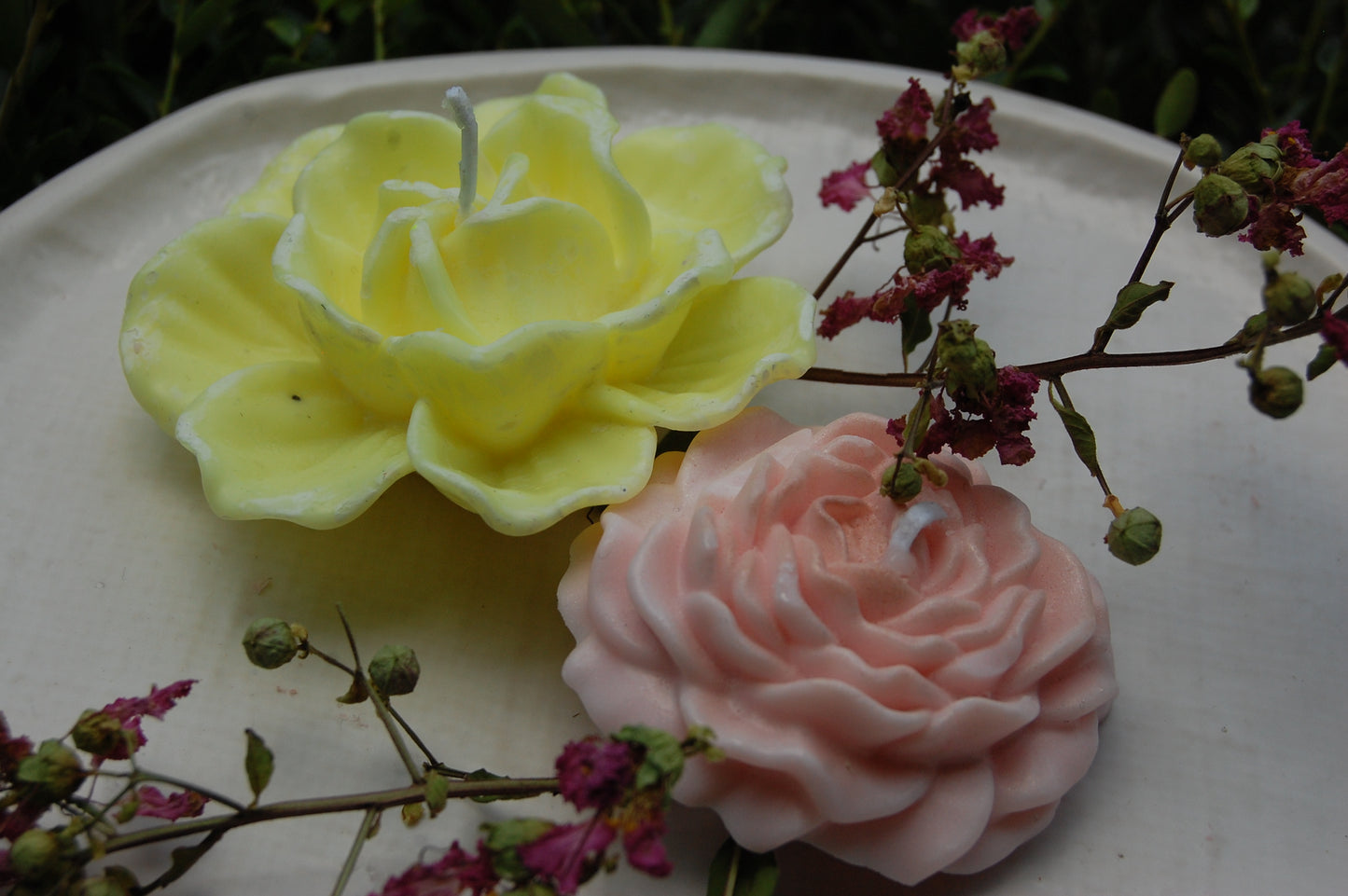 Roses Galore