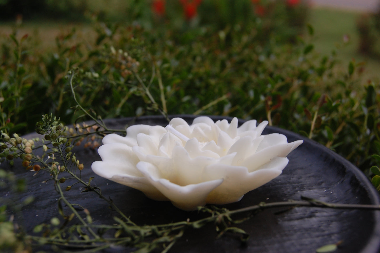 Flared Flower