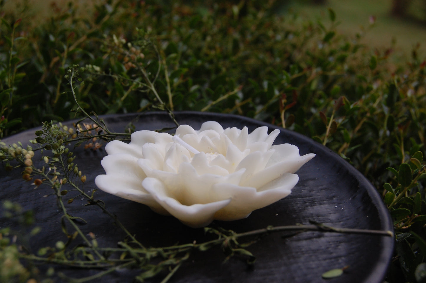Flared Flower